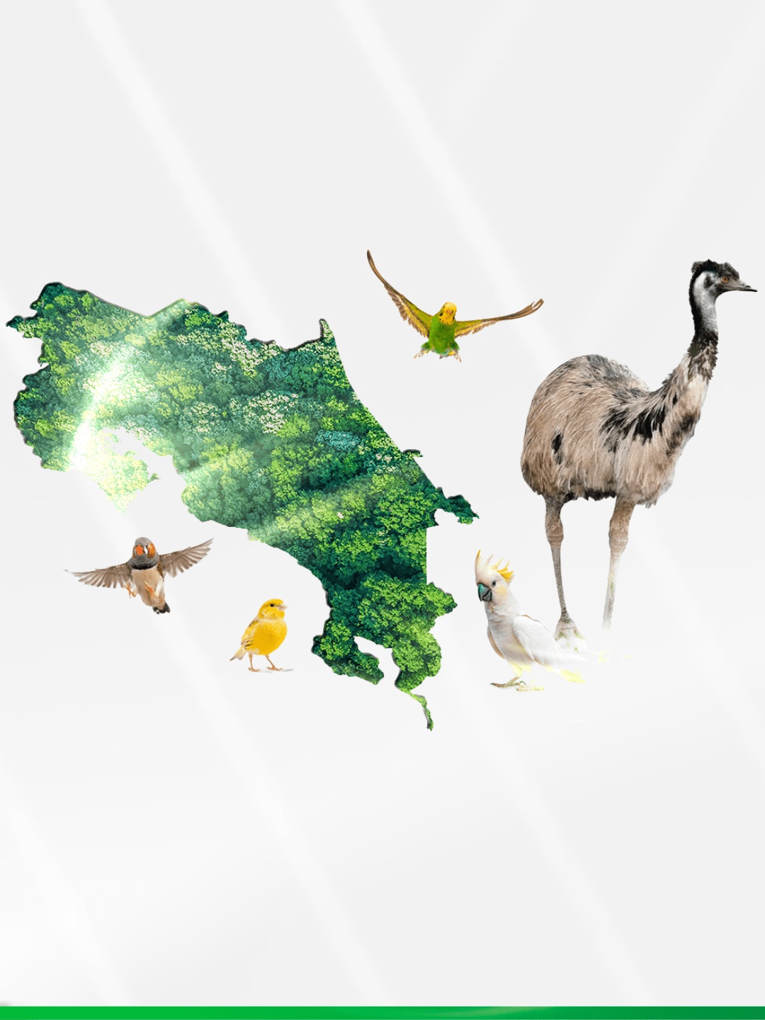 Imagen principal del artículo: Colegio de Biólogos y Colegio de Médicos Veterinarios proponen actualizar lista de especies de compañía en Costa Rica