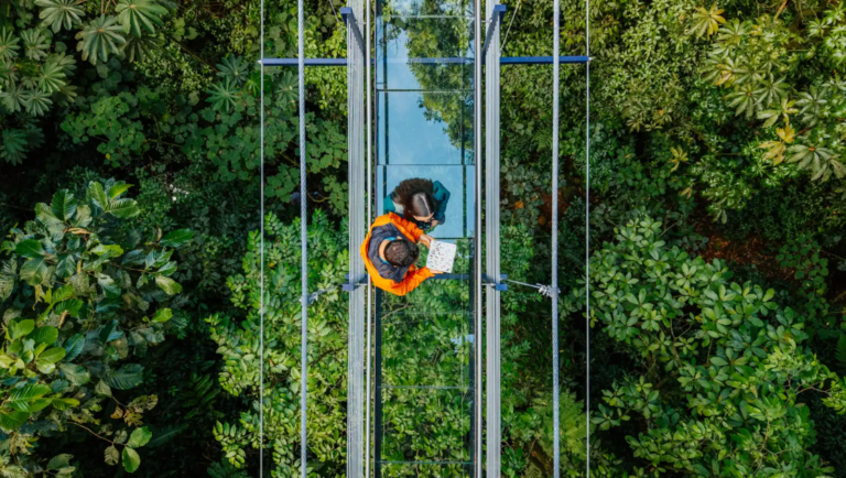 Treetopia Park en Monteverde presenta “The Glass Bridge”: un puente colgante de vidrio de Costa Rica