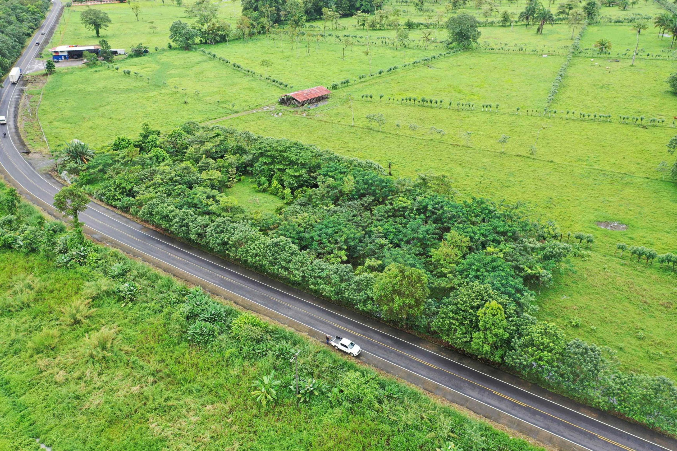 Imagen principal del artículo: EPA impulsa programa “Ayudar es Sencillo” para financiar siembra de árboles en el Gran Área Metropolitana