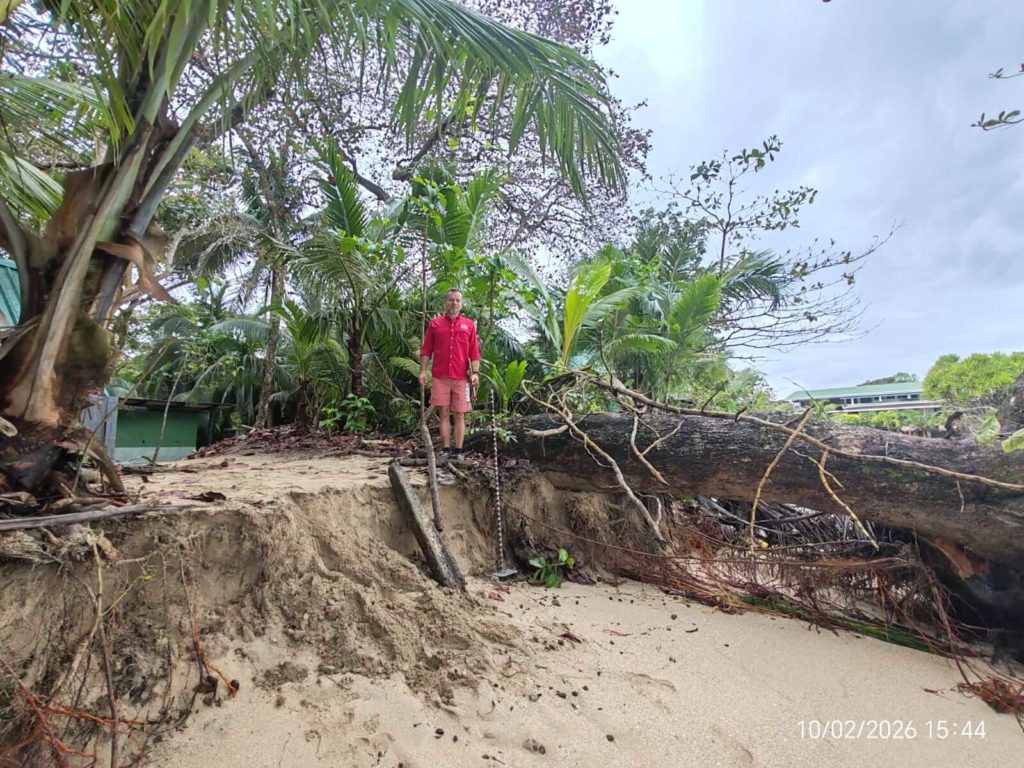Vegetación contrarresta efectos de la erosión costera en el Caribe costarricense