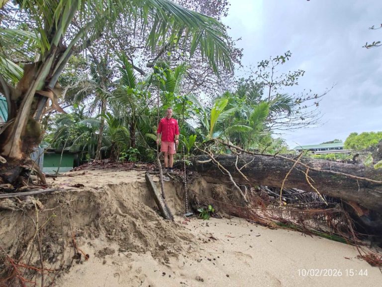 Vegetación contrarresta efectos de la erosión costera en el Caribe costarricense