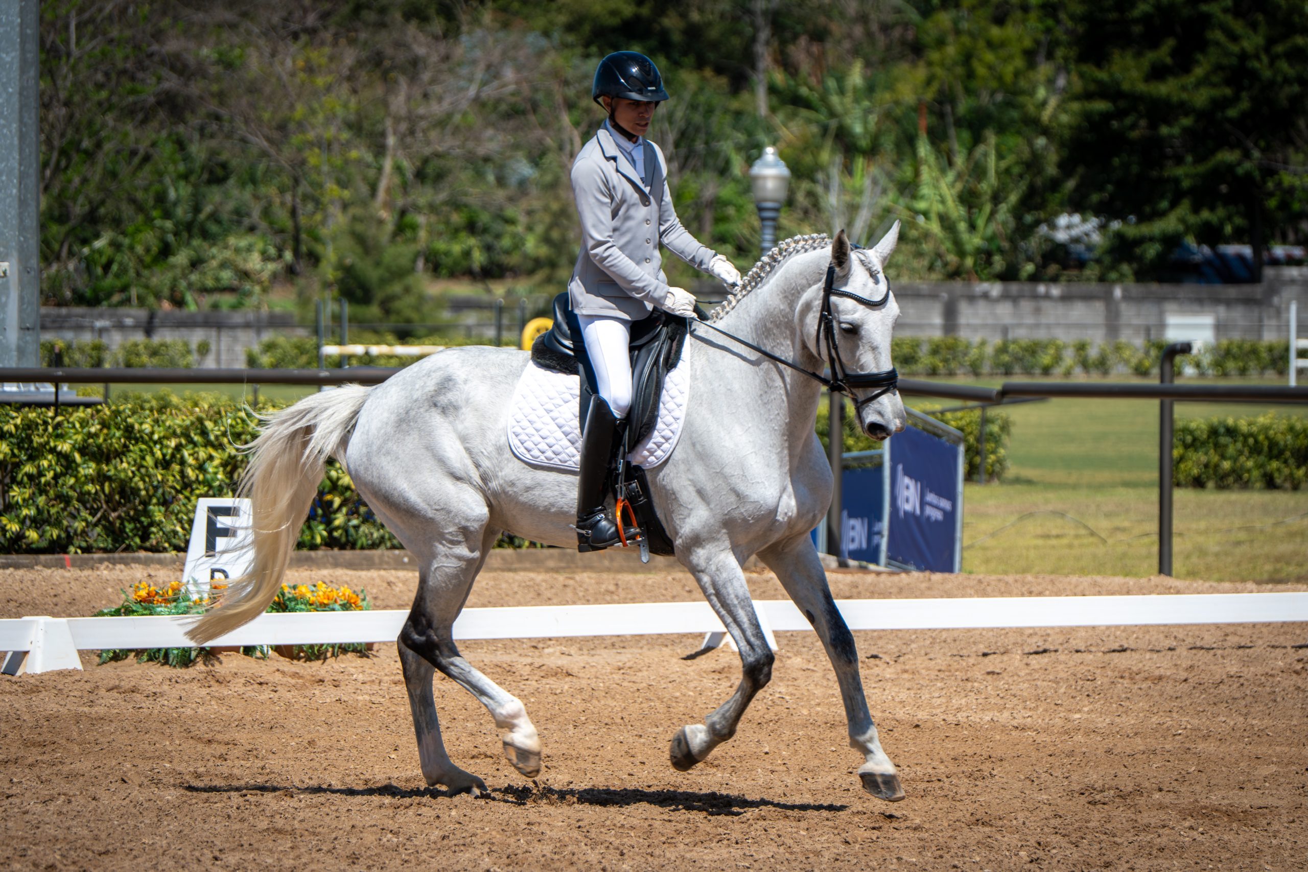 Imagen principal del artículo: "Copa Barvak" avanza con nueva competencia de adiestramiento abierta para los amantes del deporte ecuestre