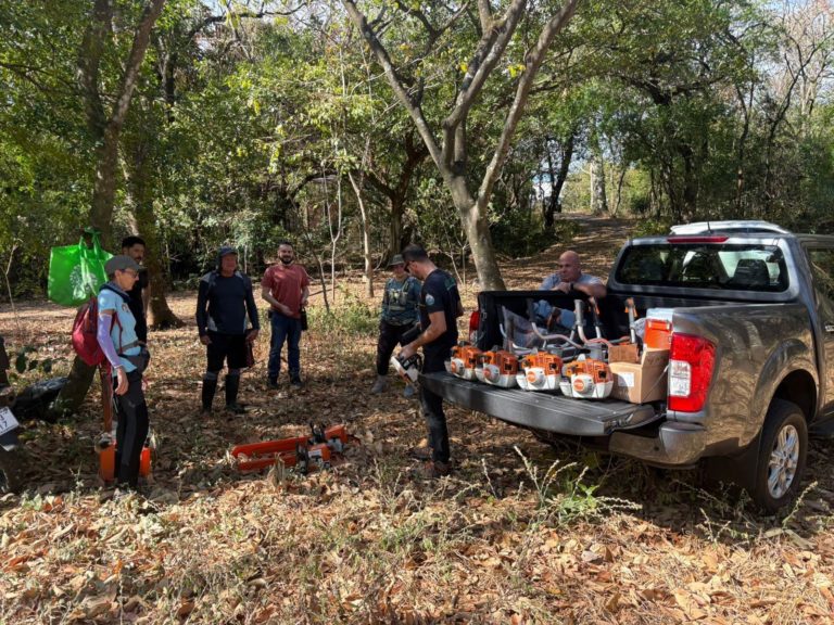 Voluntariado realiza jornada de limpieza y mantenimiento en el Parque Natural Urbano Lorne Ross