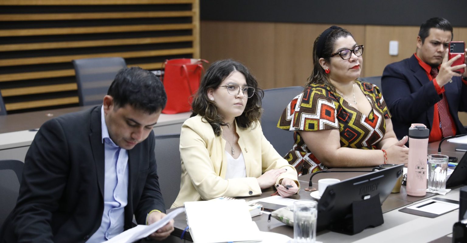 Imagen principal del artículo: Colegio de Geólogos pide a diputada Vindas dar pruebas de "conflictos éticos" en su Junta Directiva