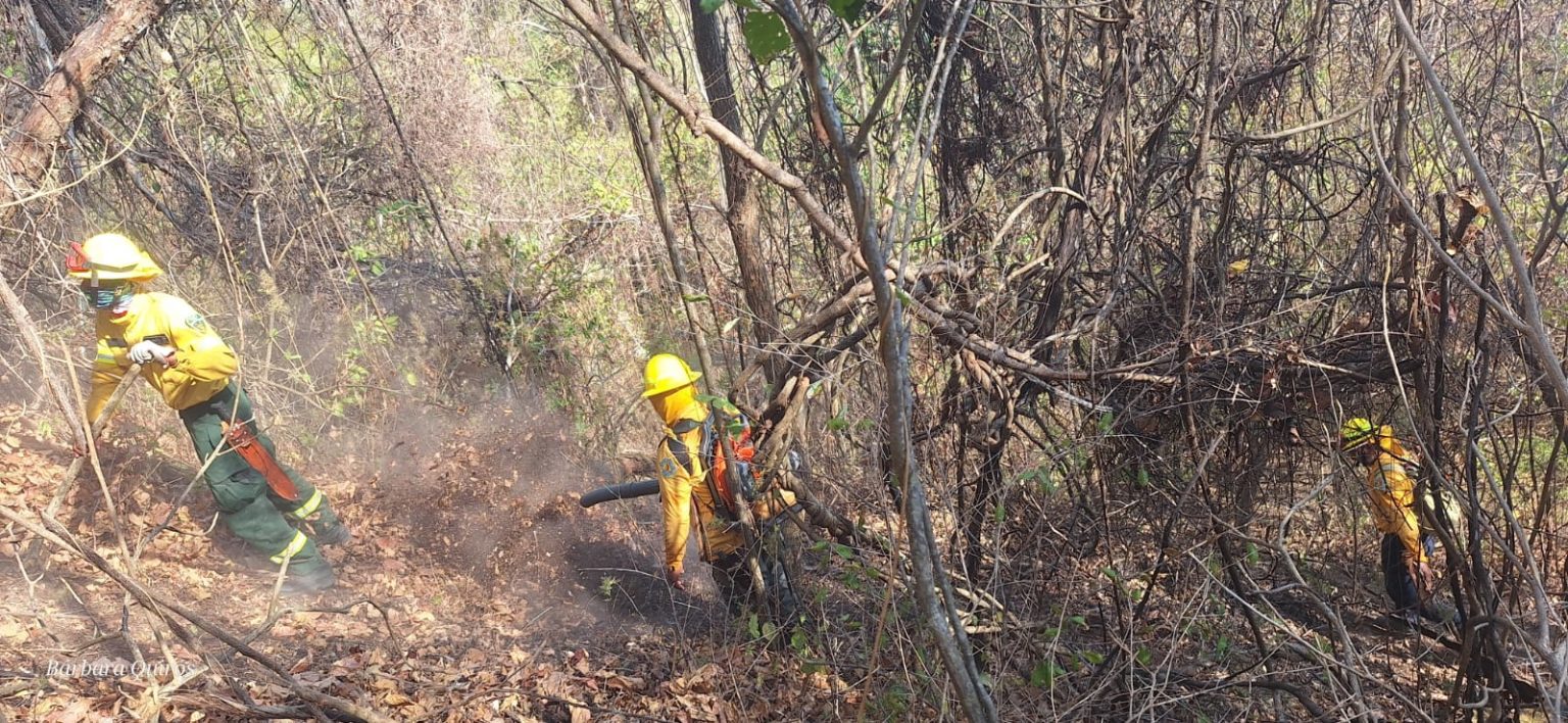 Imagen principal del artículo: Minae atiende incendio en Isla Venado