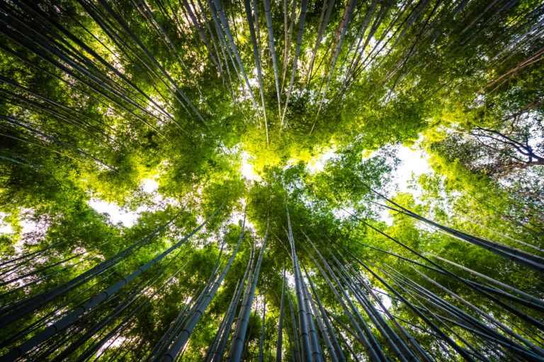 Especialistas en Microbiología instan a cambiar los espacios cerrados por la naturaleza para fortalecer las defensas