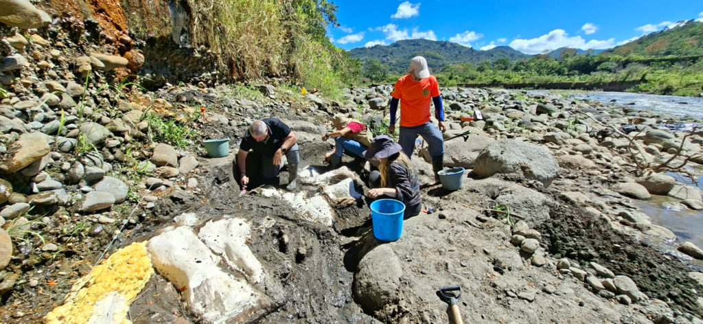 Perezoso gigante y mastodonte hallados en Cartago habitaron Costa Rica hace más de 14.000 años