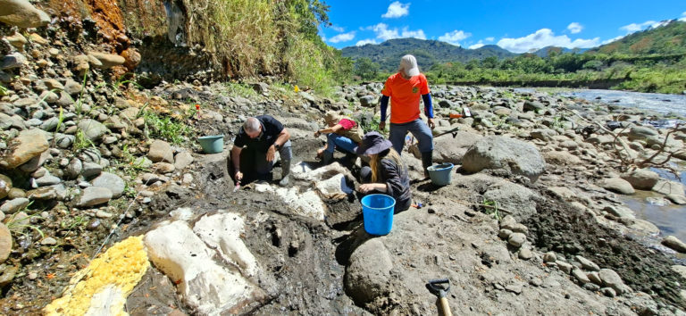 Perezoso gigante y mastodonte hallados en Cartago habitaron Costa Rica hace más de 14.000 años