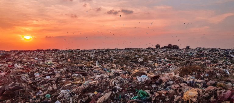 El día que “se descubrió” lo obvio