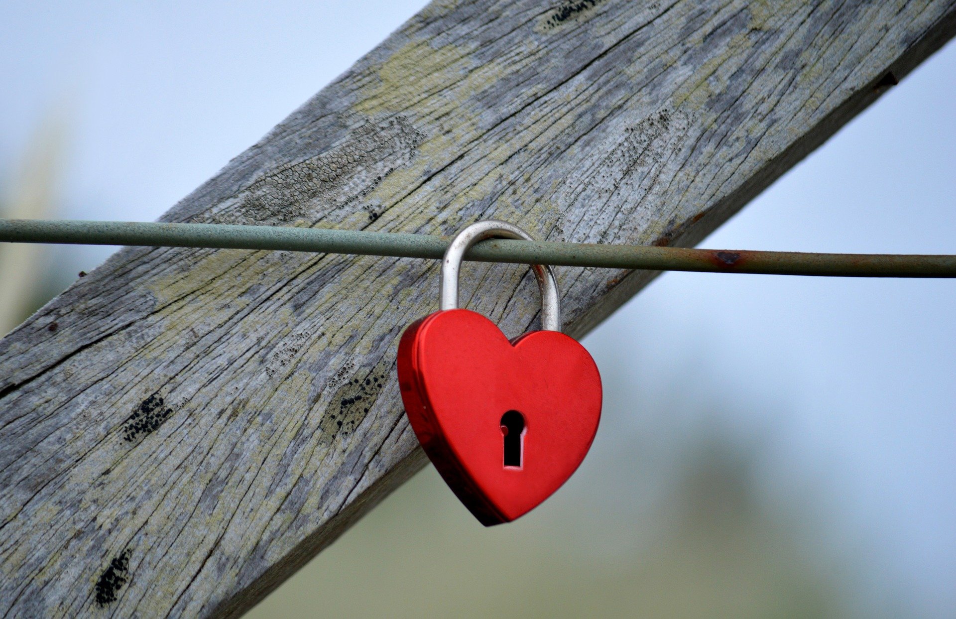 Imagen principal del artículo: Amor en disputa: mito, contrato y trascendencia