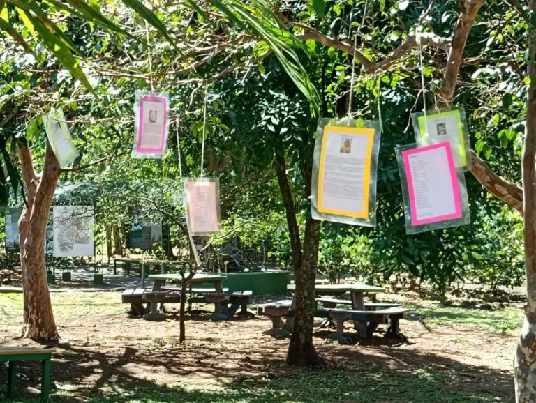 Museo de Cultura Popular celebrará el Mes de la Poesía con actividades especiales en marzo