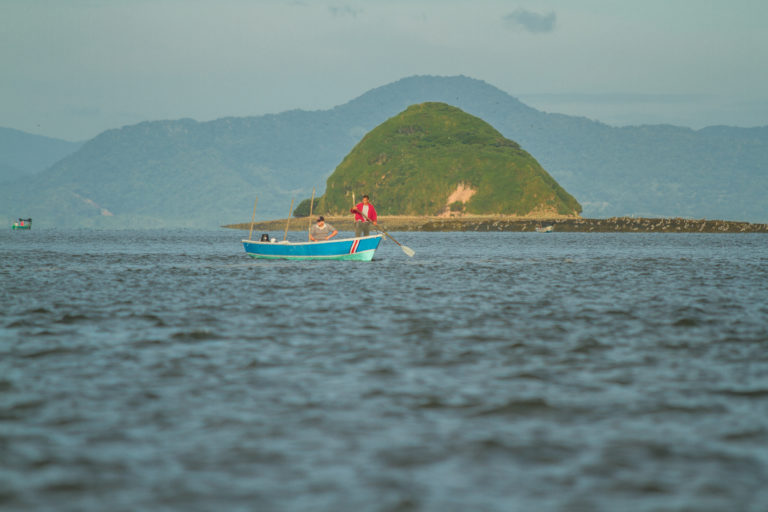 App orienta consumo responsable de pescado con nuevo chatbot interactivo