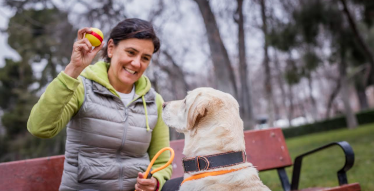 Mascotas en 6 de cada 10 hogares: el rol clave de los médicos veterinarios en Costa Rica 