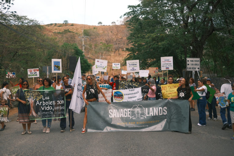 Organizaciones se movilizaron en playa Panamá contra permiso de tala en Papagayo