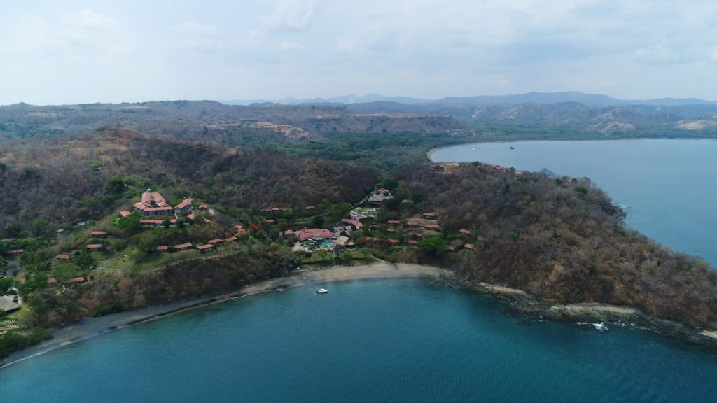 Concesionarios de Papagayo cuestionan orden de suspender permisos de tala