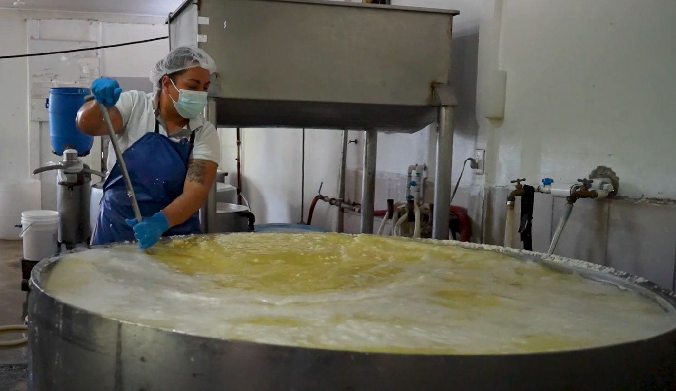 Imagen principal del artículo: Inder invierte ₡56 millones para modernizar planta agroindustrial en Turrialba