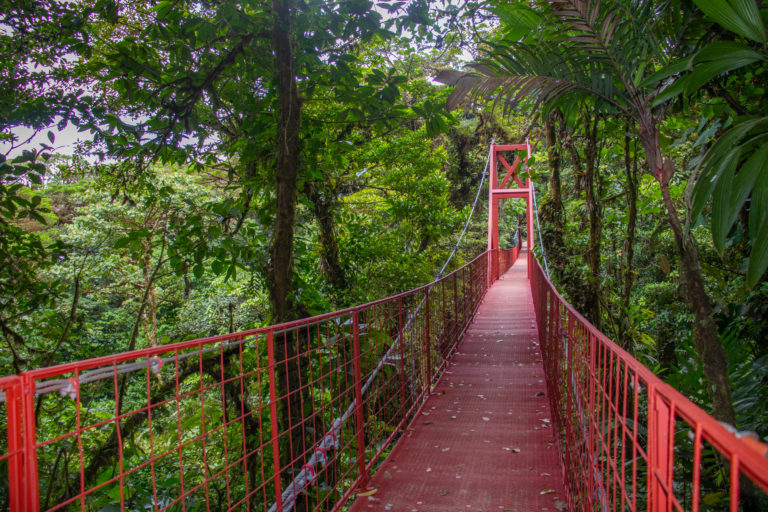 Reserva Biológica Bosque Nuboso Monteverde gana oro latinoamericano en turismo regenerativo
