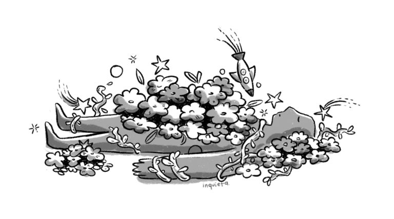 Carta sobre volver a casa