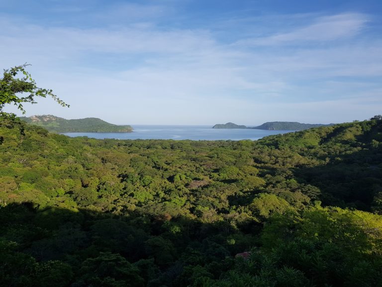 Magistrado ordena suspender permisos de tala a proyecto de Enjoy Hotels