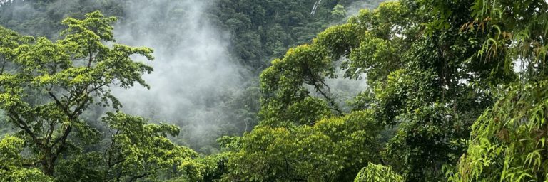 Evento en Escalante abordará uso de blockchain para proyectos sociales y ambientales