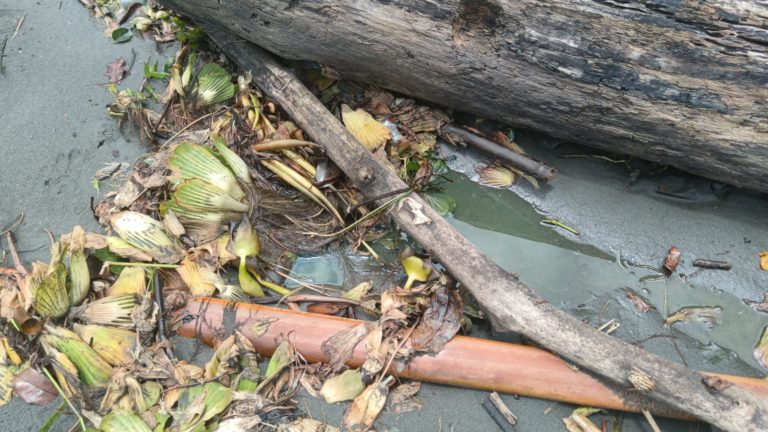 Derrame de diésel en Moín: autoridades piden a la población evitar contacto con agua de la zona afectada