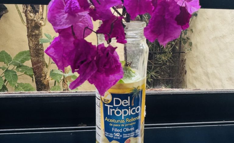 El encanto de las casas coloridas