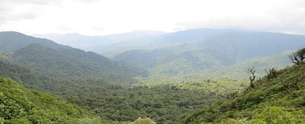 Bonos temáticos: Costa Rica pasa del discurso a la acción