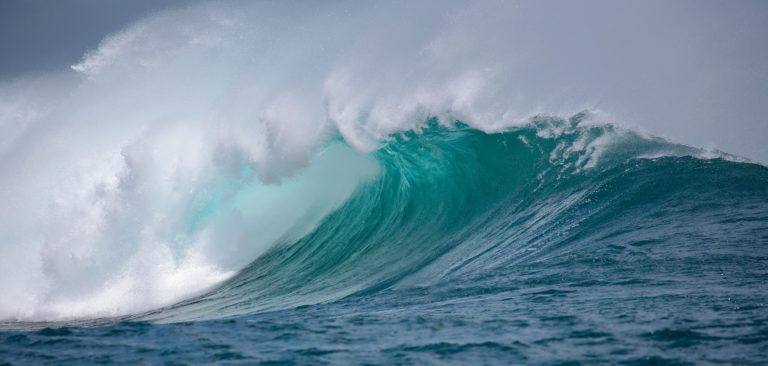El océano no espera: de EarthX a las trincheras del mundo marino