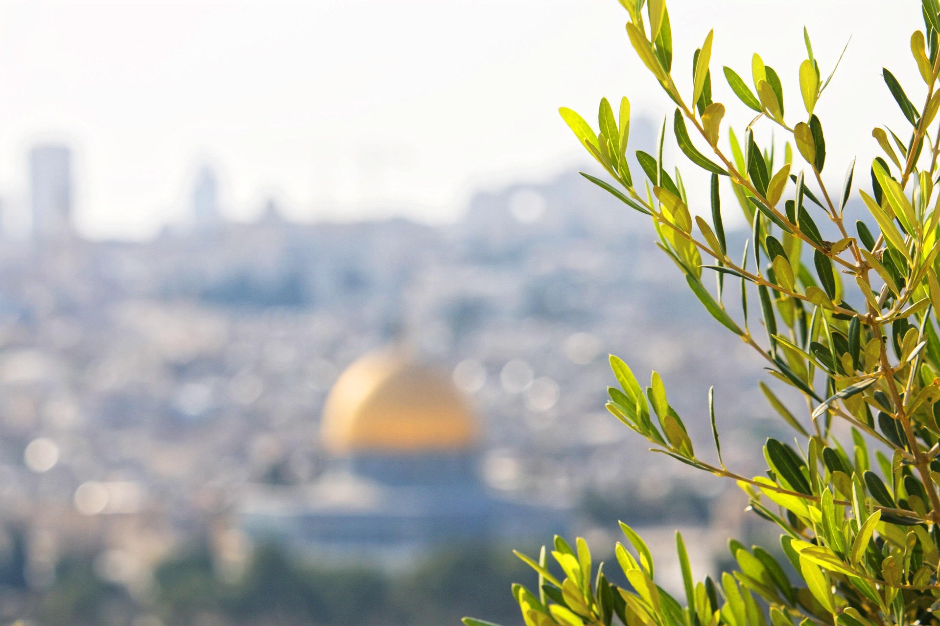 Imagen principal del artículo: La contraproducente violencia en Judea y Samaria