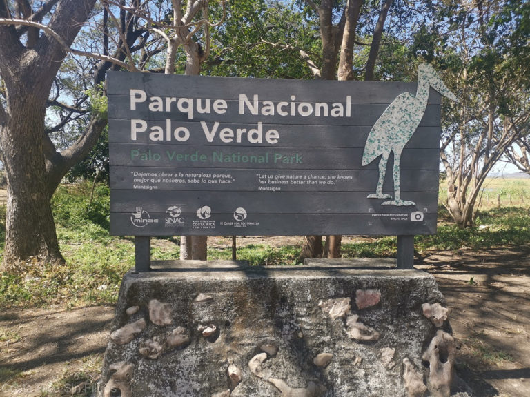 Caída de rayo provoca incendio forestal en el Parque Nacional Palo Verde