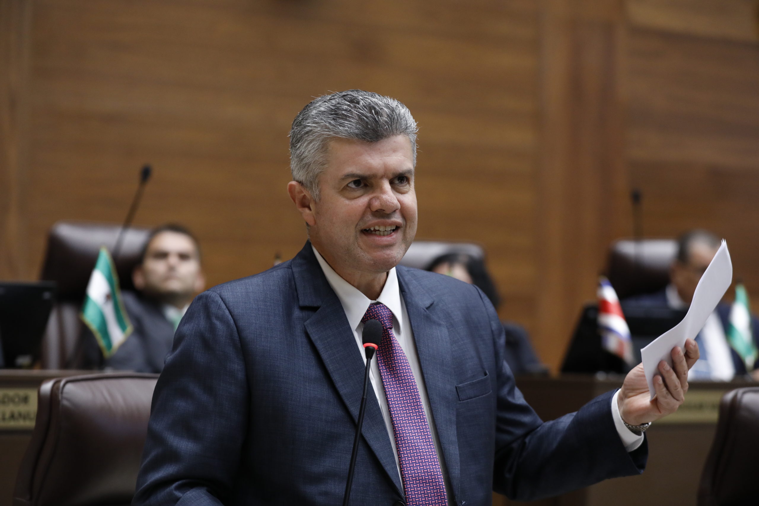 Imagen principal del artículo: Jefe de bancada del PLN celebra desconvocatoria de proyecto de apertura eléctrica