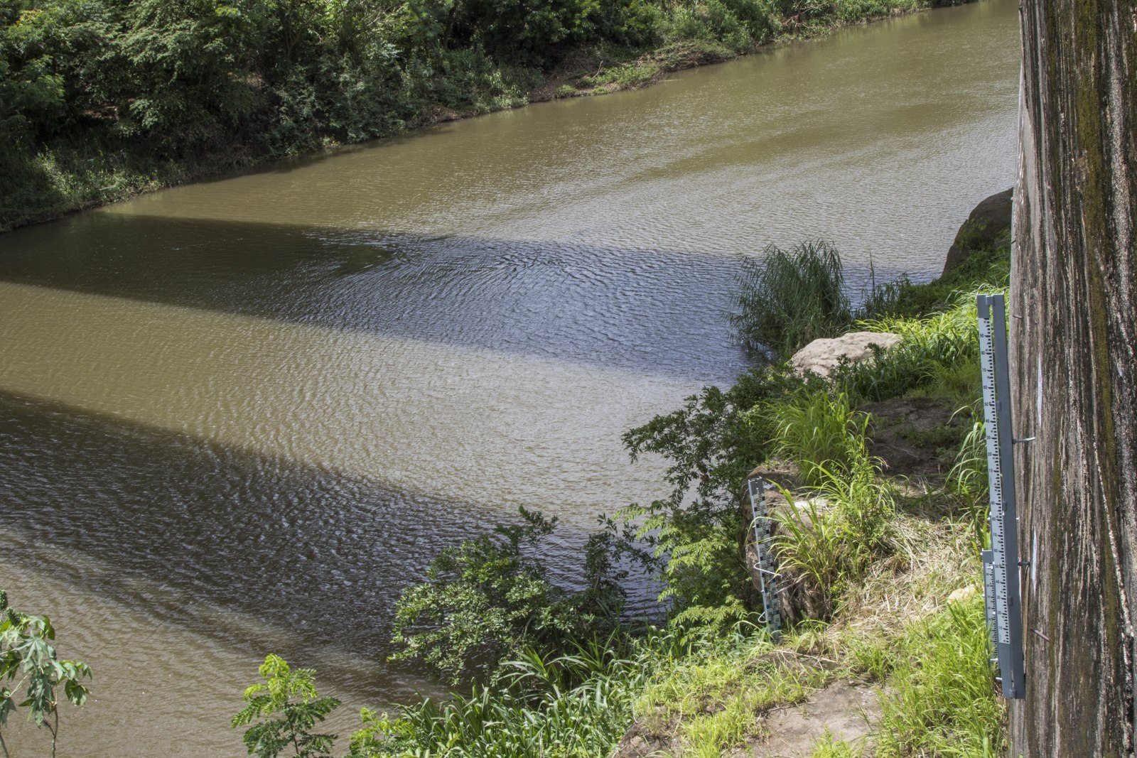 Imagen principal del artículo: Sala IV ordena informe integral sobre extracción de arena en el Río Tempisque