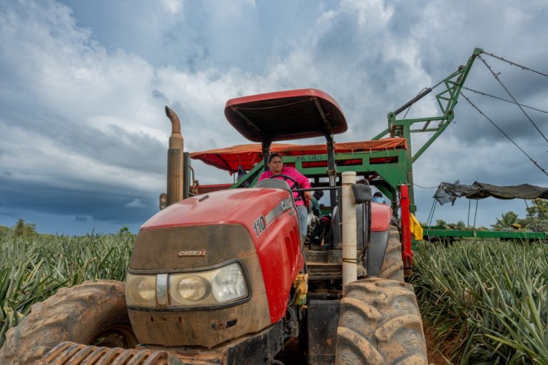 BN impulsa al agro con ₡120.000 millones y reafirma su compromiso con los agricultores de Costa Rica