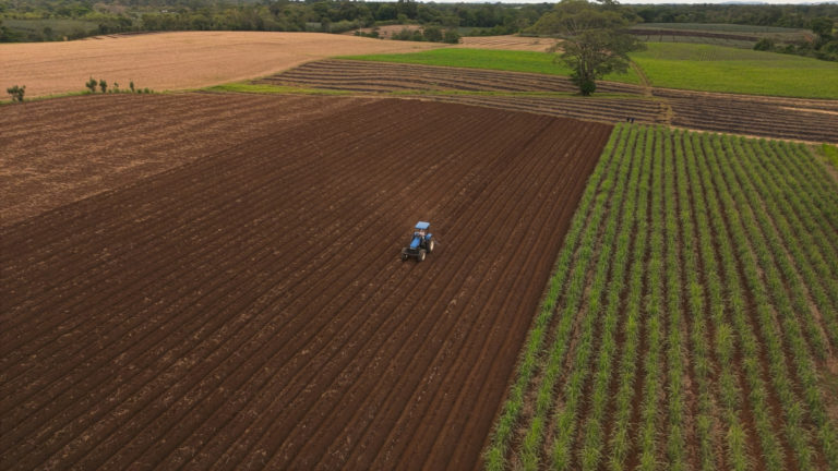 Detrás del azúcar de los hogares costarricenses hay más de 6000 productores que trabajan por el país