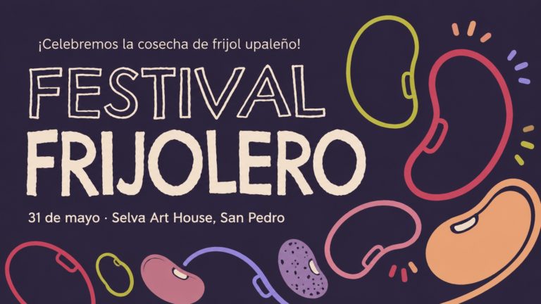 Festival Frijolero celebrará la cosecha de frijol upaleño en San Pedro