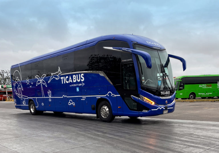 Expertos revelan cómo hacer los trayectos más cómodos y seguros para quienes eligen los viajes en carretera