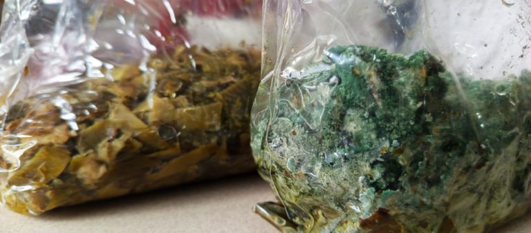 Proyecto de la UNED propone aliviar presión sobre rellenos sanitarios con transformación de residuos