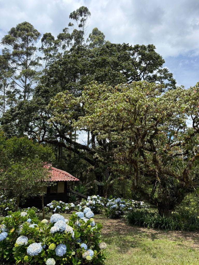 Corredores biológicos interurbanos monitorean biodiversidad en la Gran Área Metropolitana