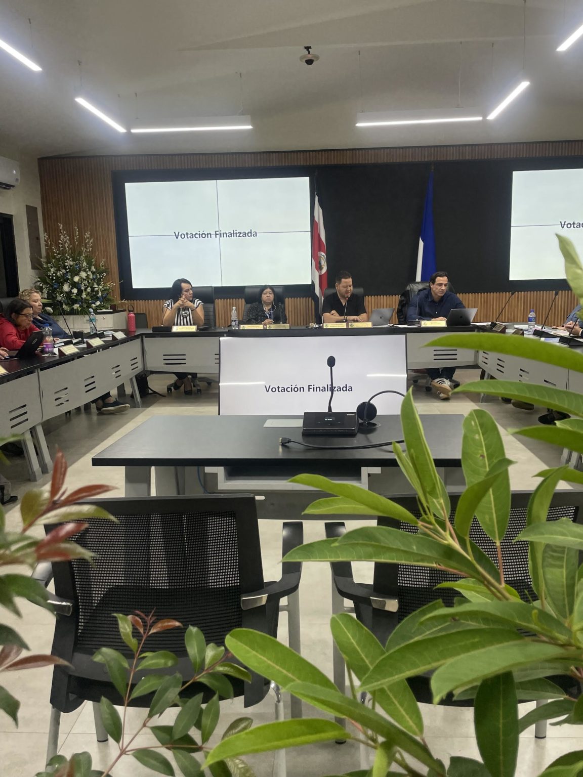 Imagen principal del artículo: Escazú aprueba iniciativa ciudadana para impulsar arborización con especies nativas