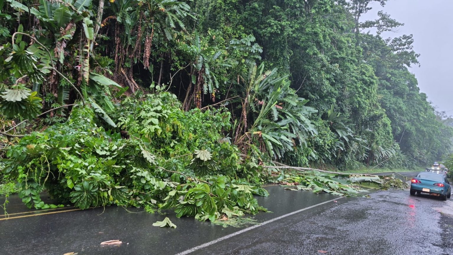 Imagen principal del artículo: Lluvias elevan ríos y causan anegamientos en Limón