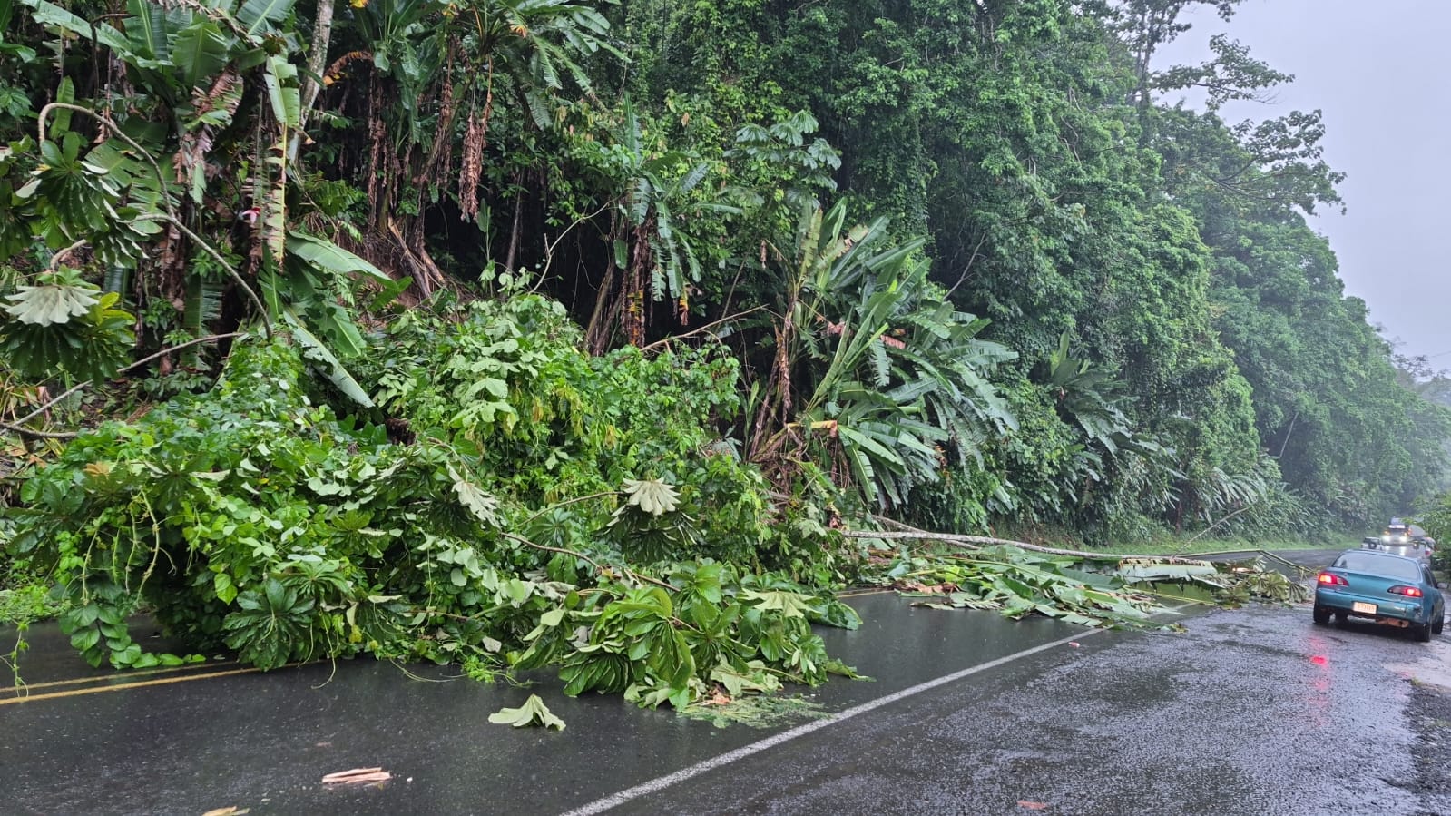 Imagen principal del artículo: Lluvias elevan ríos y causan anegamientos en Limón