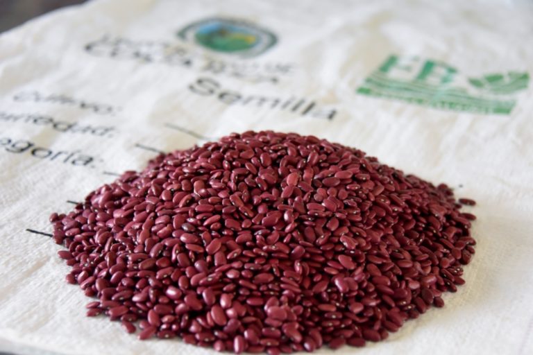 UNA realizará feria del frijol para apoyar a productores de la Zona Norte
