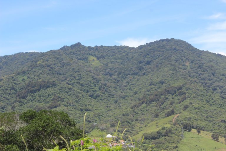 Clausuran carbonera clandestina que operaba en el Cerro la Carpintera por daños al ambiente
