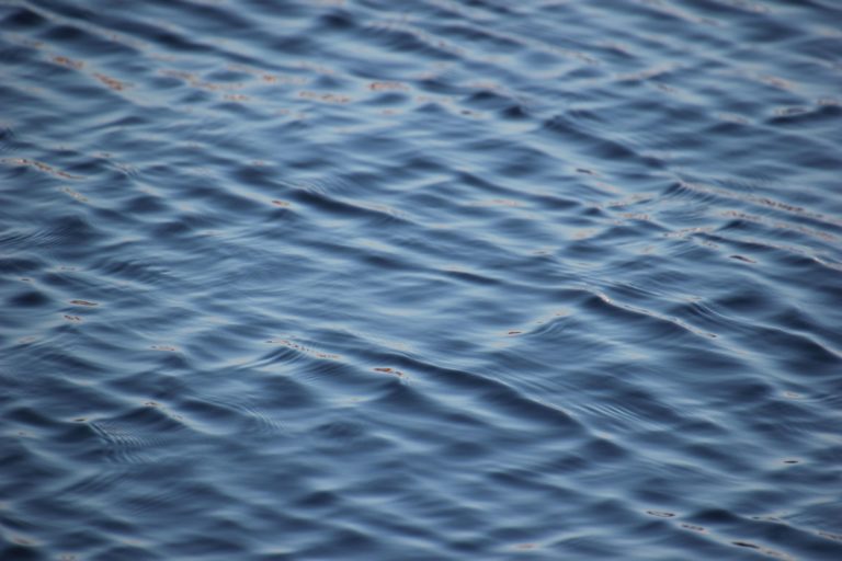 El mar no es una mina: Costa Rica debe prohibir la minería submarina