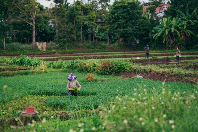 El Agro: ¿asunto sin importancia?