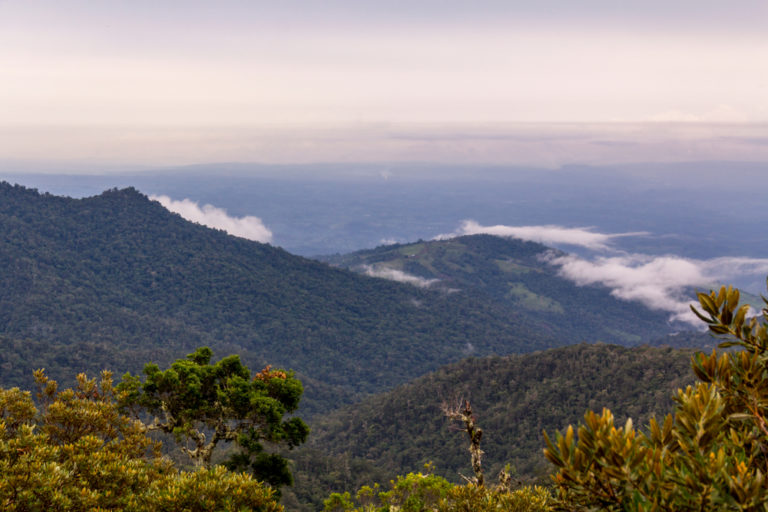 Conversatorio virtual abordará el futuro del Cerro Chompipe y la protección del agua en Heredia
