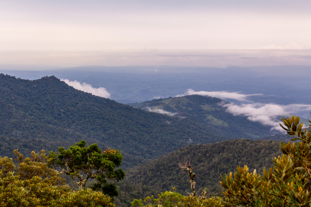 Conversatorio virtual abordará el futuro del Cerro Chompipe y la protección del agua en Heredia