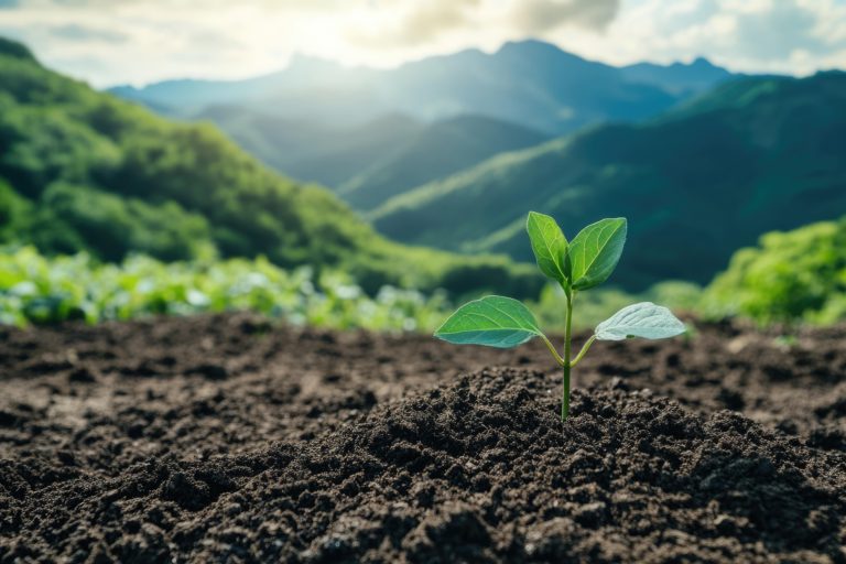 Sin insumos agrícolas no hay cosecha: la conversación que Costa Rica está evitando