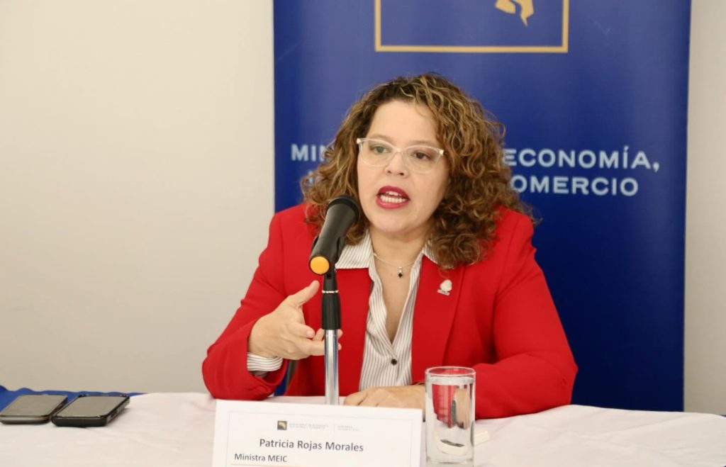 Sistema de Banca para el Desarrollo nombra a Patricia Rojas como directora ejecutiva interina tras salida de Víctor Carvajal