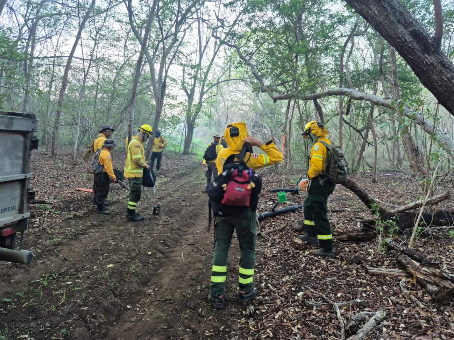 Imagen principal del artículo: Incendio en Parque Nacional Palo Verde afectó cerca de 4000 hectáreas